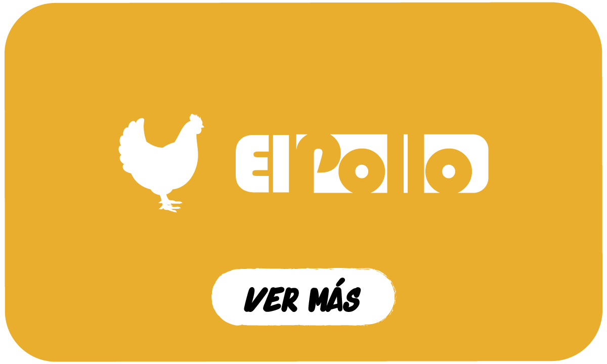 pollo